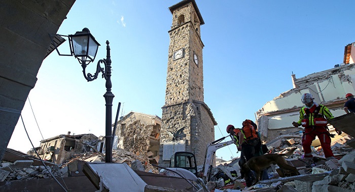 Two cats rescued after two weeks under rubble following deadly Italy quake